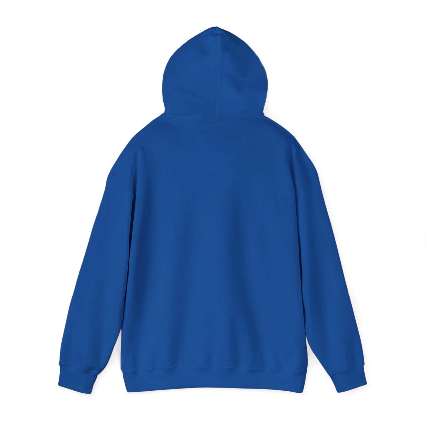 blue cozy winter hoodie with hood and kangaroo pocket, soft medium-heavy cotton blend sweatshirt for cold season
