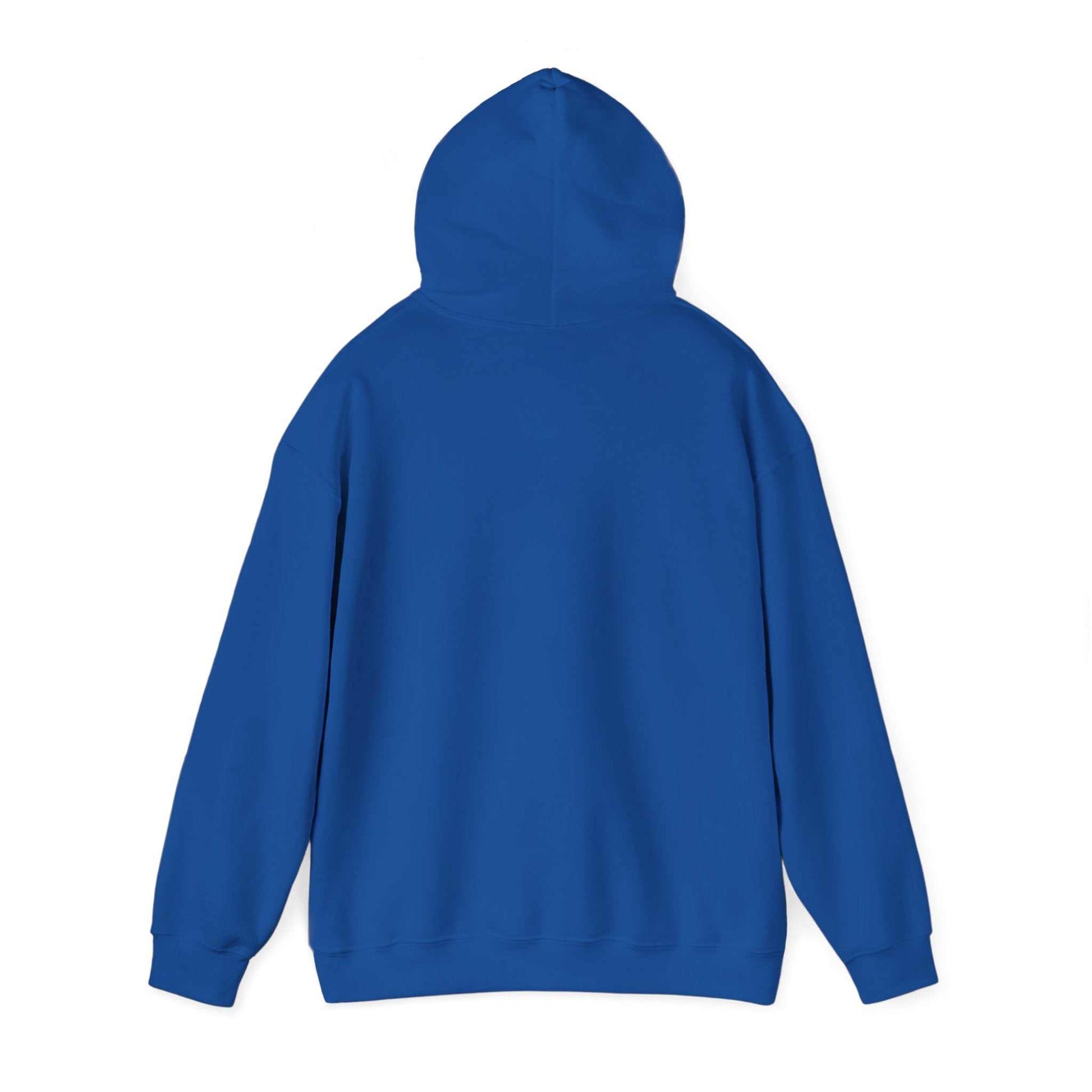blue cozy winter hoodie with hood and kangaroo pocket, soft medium-heavy cotton blend sweatshirt for cold season